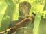 15. The Legend of Zelda: Twilight Princess (GameCube, erschien 2006 von Nintendo) - weltweite Durchschnittswertung: 95.29%