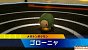 Screenshots aus Pokémon Rumble für Wii (32)