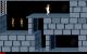 1989: Prince of Persia (DOS)