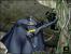 Batman Dark Tomorrow (Xbox) - Weltweite Durchschnittswertung: 24.06%