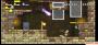 Screenshots aus New Super Mario Bros. Wii (31)