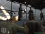 Call of Duty (PC) - Der erste Teil erschien nur für den PC (5)