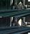Assassins Creed 2 PS3 vs Xbox 360 (4)
