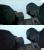 Assassins Creed 2 PS3 vs Xbox 360 (43)