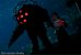Bioshock Cosplay im Unterwasser-Aquarium in Georgia (4)