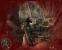 Call of Duty 5: World at War (PC,PS3,Wii,Xbox 360, DS,PS2) - Zurück zum Thema WWII (48)