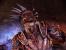 Screenshots aus Dragon Age: Origins. (10)