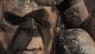 God of War 3: Kronos - Der Titan spielte bereits in den ersten beiden God of War-Teilen eine "tragende" Rolle.