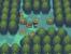 Pokémon Gold & Silber Komplettlösung: Steineichenwald Porentas
