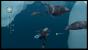 Endless Ocean 2 - Der Ruf des Meeres: (10)