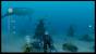 Endless Ocean 2 - Der Ruf des Meeres: (11)