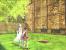 ICO: Das Spiel erschien zwar eher als Shadow of the Colossus, bildet aber geschichtlich dessen Nachfolger. Auch dieses künstlerische Meisterwerk muss in HD auf der PS3 erscheinen.