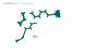 Kapitel 5 Lichterwald: Optimierungsareal + Zugangsareal