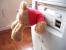 USB-Teddy: Der Bär wirft einen Blick in den Rechner. Sein Kopf dient übrigens als USB-Schutzhülle.