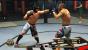 Weitere Screenshots aus UFC Undisputed 2010 für PS3 und Xbox 360. (5)