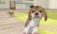 Nintendogs + cats (Nintendo 3DS)