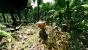 Crysis - Auch die Crysis-Serie verlangt nach PS4 und Xbox 720 - High-Res Original: 1920x1080