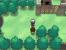 Käfer-Pokémon finden sich vor allem in Wiesen und Wäldern.