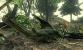Screenshots aus Metal Gear Solid: Snake Eater 3D für Nintendo 3DS. (4)