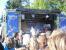 Die Veranstaltung war mit knapp 3000 Leuten gut besucht.
