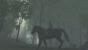 <strong>Shadow of the Colossus</strong> - Eines der emotionalsten und besten Spiele ist Shadow of the Colossus. Dieses Epos sollten sich auch alte Nintendo-Hasen nicht entgehen lassen.