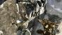Call of Duty: Black Ops (5)