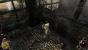 Two Worlds 2 Komplettlösung - Mit Tipps und Tricks durch das Rollenspiel (1)