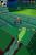Pilz-Cup Luigi's Mansion 02