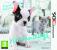 Nintendogs + Cats: French Bulldog & Friends // Bewertung: 80 % (Einzelspieler)