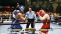 <strong>Lucky Punch</strong> - Fight Night-Spieler kennen das Problem: Selbst bei voller Deckung schaffen es die Gegner irgendwie, uns K.O. zu boxen. Wie das funktioniert? Wir können es uns nicht erklären. <em>Community-Update</em>