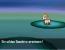 Screenshots aus der deutschen Version von Pokémon Black and White. Das Rollenspiel erscheint am 4. März für Nintendo DS. (5)