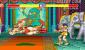 Street Fighter 2 - The World Warrior (1991)