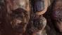 <strong>God of War</strong> - Zwischen Daumen und Zeigefinger steckt der gescheiterte Kriegsgott Kratos. Er möchte zu Beginn von God of War 3 mit Hilfe der Titanen Rache an den Göttern des Olymp nehmen. Doch dann kommt alles ganz anders. 