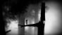<strong>Limbo</strong> - Limbo bietet eigentlich einen eintönigen Stil und wenig Abwechslung. Aber gerade diese Tatsache löst im Spieler einen Empfindungsprozess aus. Plötzlich beginnt der Verstand zu arbeiten und man möchte wissen, was am Ende des Spiels passiert. Brillanter Stil, leider etwas kurz.