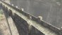Weitere Screenshots aus Ico und Shadow of the Colossus für PlayStation 3. (3)