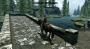 Ebenso könnten wir uns <strong>Zelda</strong> im Gewand eines <strong>The Elder Scrolls-Ablegers</strong> vorstellen. Was meint ihr?