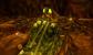 <strong>Conker's Bad Fur Day</strong> Wahrscheinlich der witzigste Bosskampf aller Zeiten: Conker, das rauchende, saufende Eichhörnchen, betritt die Höhle des Dung-Haufens und wird dazu hingerissen, Mais an eine Stimme aus der Tiefe zu verfüttern. Die Stimme entpuppt sich als der Great Mighty Poo, ein Opern-singender Misthaufen mit Mais-Zähnen und Fäkalien-Armen.
