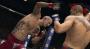 <strong>UFC Undisputed 3</strong> - Am 14. Februar steht ein weiterer Ausflug in das Octagon an. Zwei Kämpfer prügeln in einer Arena vor tosendem Publikum aufeinander ein. Ein echtes Männerspiel eben. Es ist schon ein tolles Gefühl, seinen Kontrahenten mit gezielten Schlägen und Tritten K.O. zu schlagen. Wir haben nur eine Bitte an THQ: Schenkt uns eine PC-Version!