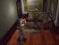 Resident Evil - Das Original von 1996