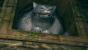 <strong>Alvina - Dark Souls</strong> - Alvina die Katze bietet euch einen Eid an. Setzt ihr ihren Ring auf, so dürft ihr den Wald von Eindringlingen befreien. Danach gibt euch Alvina auch eine Belohnung.
