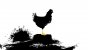 <strong>The Unfinished Swan - 12,99 Euro</strong> - Cooles Indie-Game mit alternativem Gameplay- <em>Leser-Vorschlag</em>