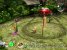 <strong>Pikmin</strong> - Das Wusel-Abenteuer mit den niedlichen Pikmin könnte durchaus als HD-Remake erscheinen. Vielleicht gibt es dann irgendwann eine Pikmin-Trilogie für Wii U. - <em>Leser-Vorschlag</em>