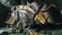Transformers: Untergang von Cybertron - Screenshots aus dem neuen Transformers-Ableger (5)