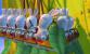 ... den <strong>Rabbids</strong>. Das können wir uns sehr gut vorstellen. - <em>Leser-Vorschlag</em>