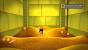 DuckTales Remastered im Test: Wir haben die PSN-Version der Neuauflage gespielt und verraten im Review, ob sich der Download lohnt. (9)