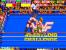 Als das Meisterstück unter den Arcade-Wrestling-Spielen gilt <strong>WWF Wrestlefest</strong> aus dem Jahre 1991 - bis heute hat sich um das Oldschool-Wrestling-Spiel eine große Fangemeinde erhalten.