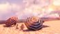 Spieler, die eine gänzlich ausgefallene Umgebung zum Baden suchen, sind in <strong>Bioshock Infinite</strong> gut aufgehoben, denn hier befindet sich der Strand inmitten der fliegenden Wolkenstadt Columbia, wo die Sonne wortwörtlich hinter dem Horizont untergeht.