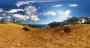 Hier seht ihr brandneue Screenshots aus Just Cause 3.
