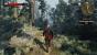 Geralt wird seinen Trieben in The Witcher 3 auch auf einem Einhorn nachgeben können. (3)