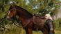 Geralt wird seinen Trieben in The Witcher 3 auch auf einem Einhorn nachgeben können. (5)
